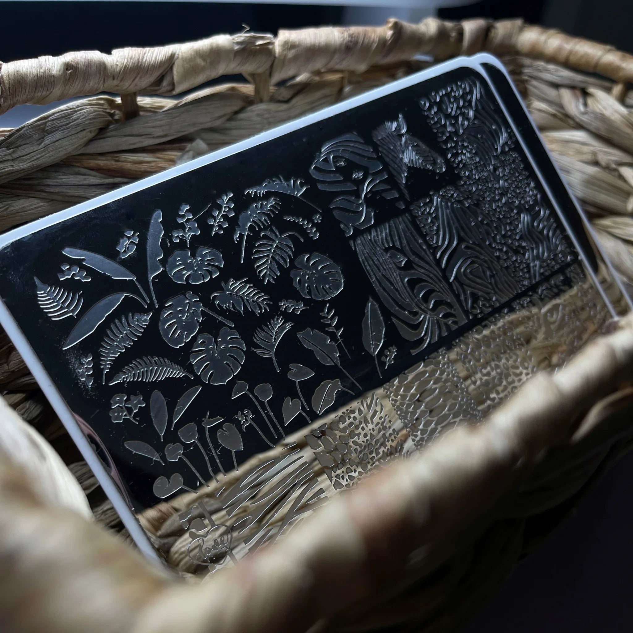 Stamping Plate  2 - Safari GET NAILS