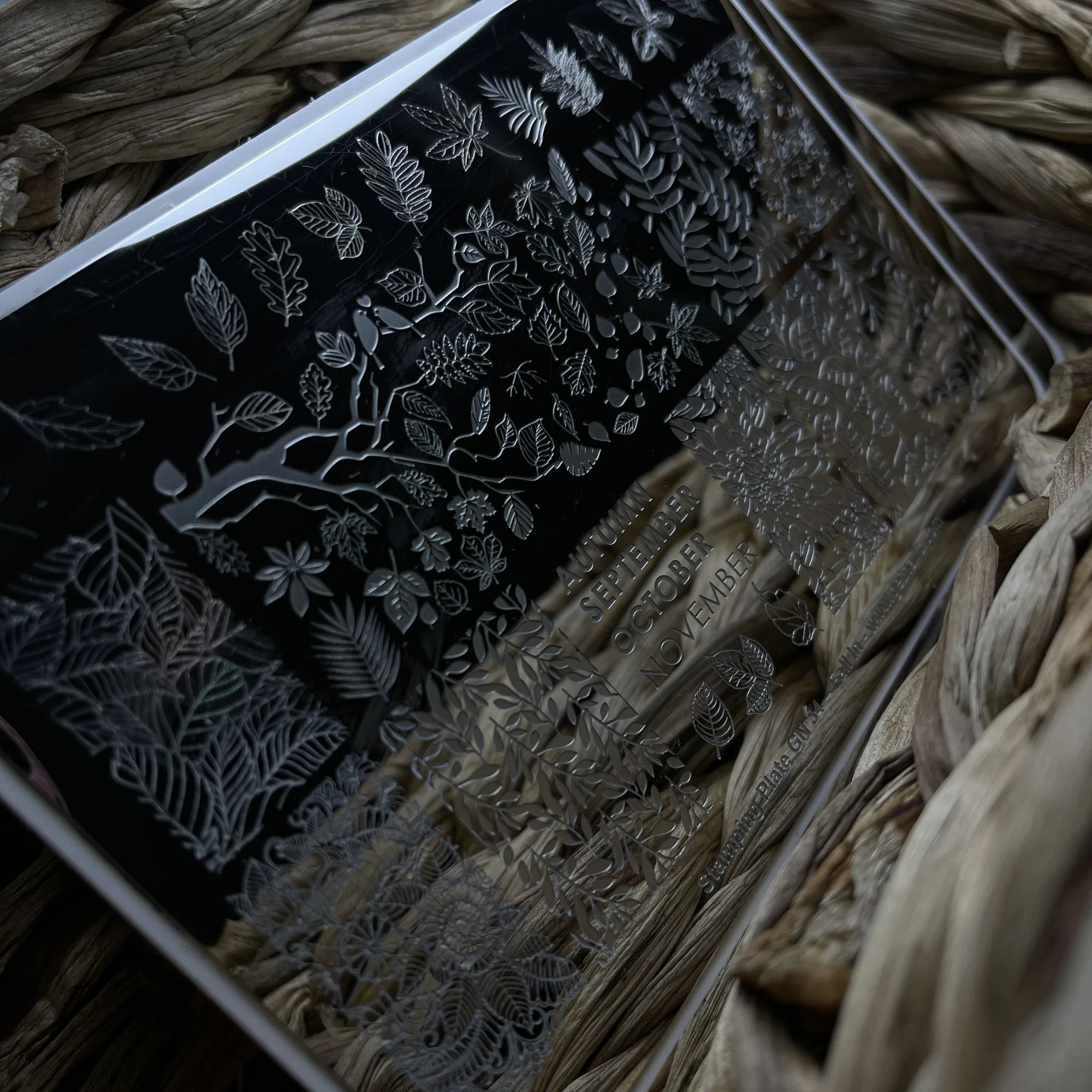 Stamping Plate  34 - Fall In GET NAILS