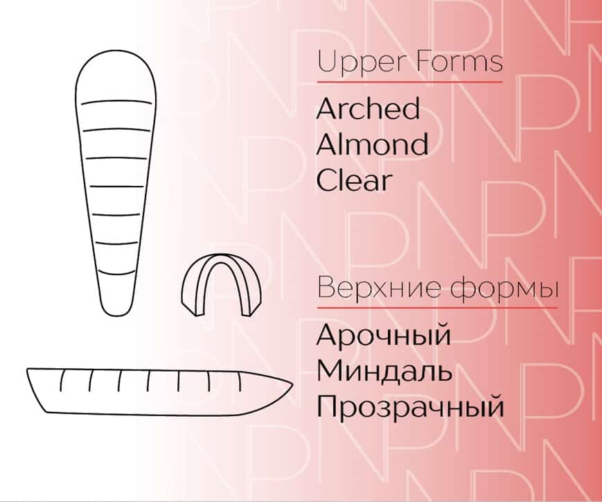 Tipsuri Arched Almond Clear Upper Forms 240 Pcs Nartist