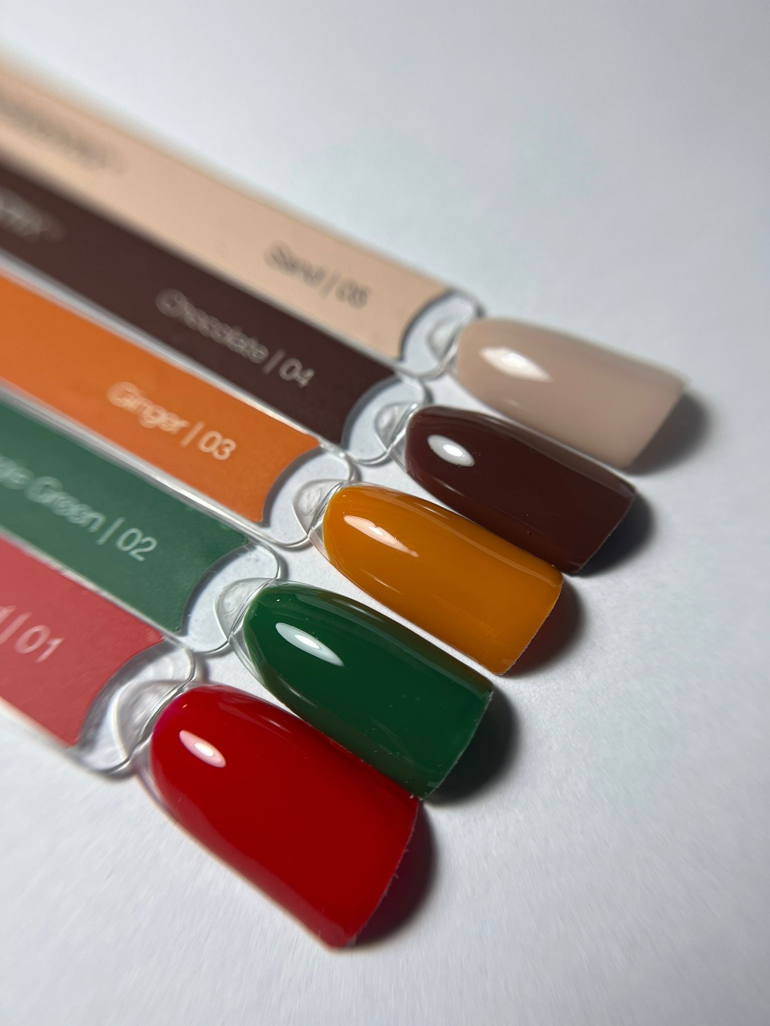 The New Muse Collection MUSA