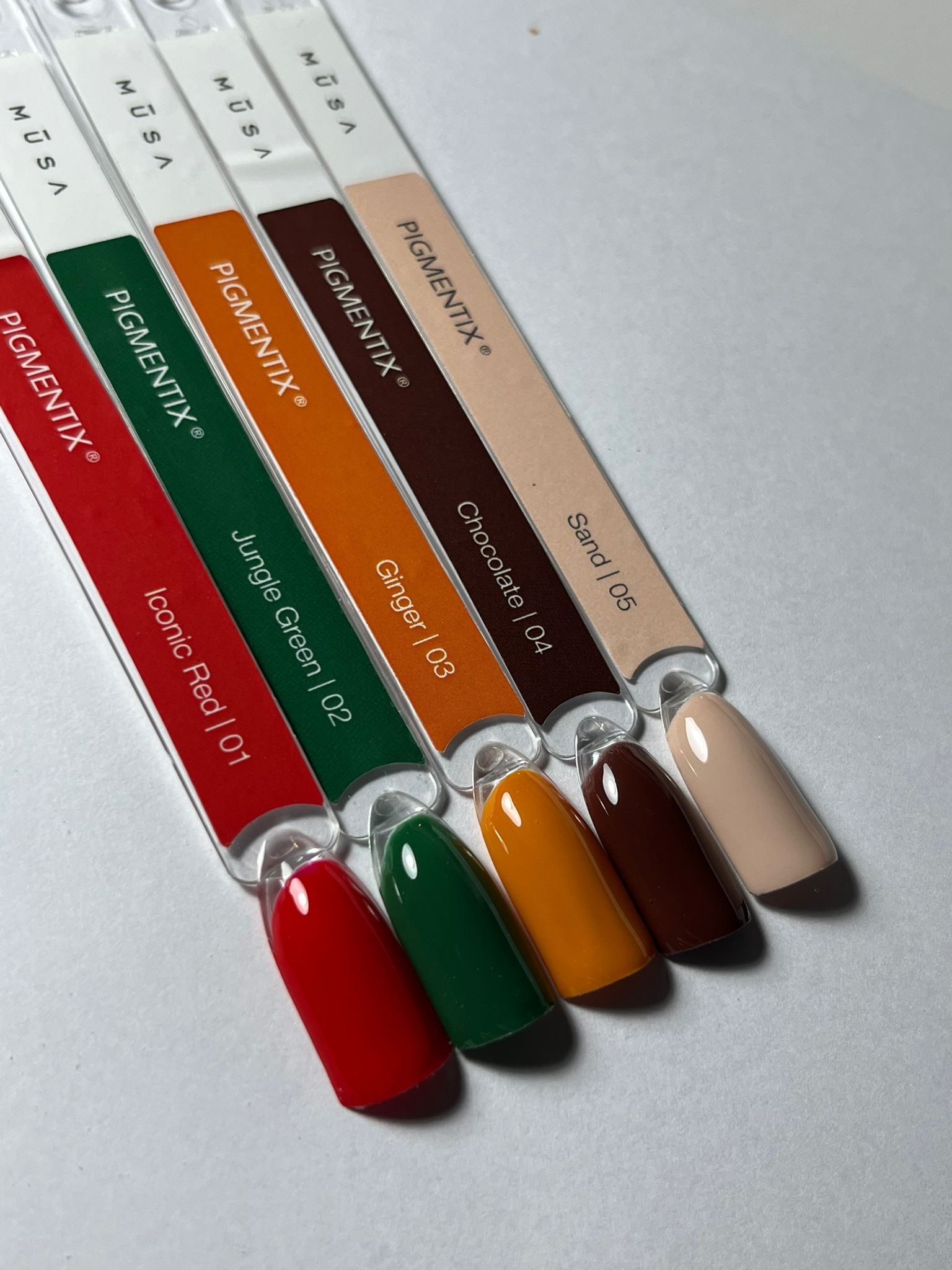 The New Muse Collection MUSA